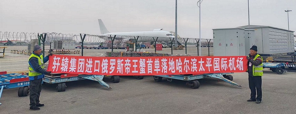 軒轅集團(tuán)進(jìn)口俄羅斯帝王蟹首單落地哈爾濱太平國(guó)際機(jī)場(chǎng)