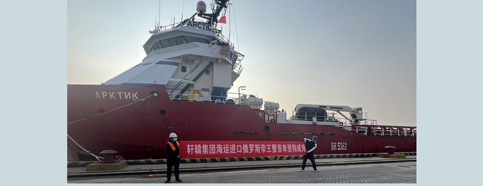 軒轅集團(tuán)進(jìn)口93噸俄羅斯帝王蟹首單登陸威海